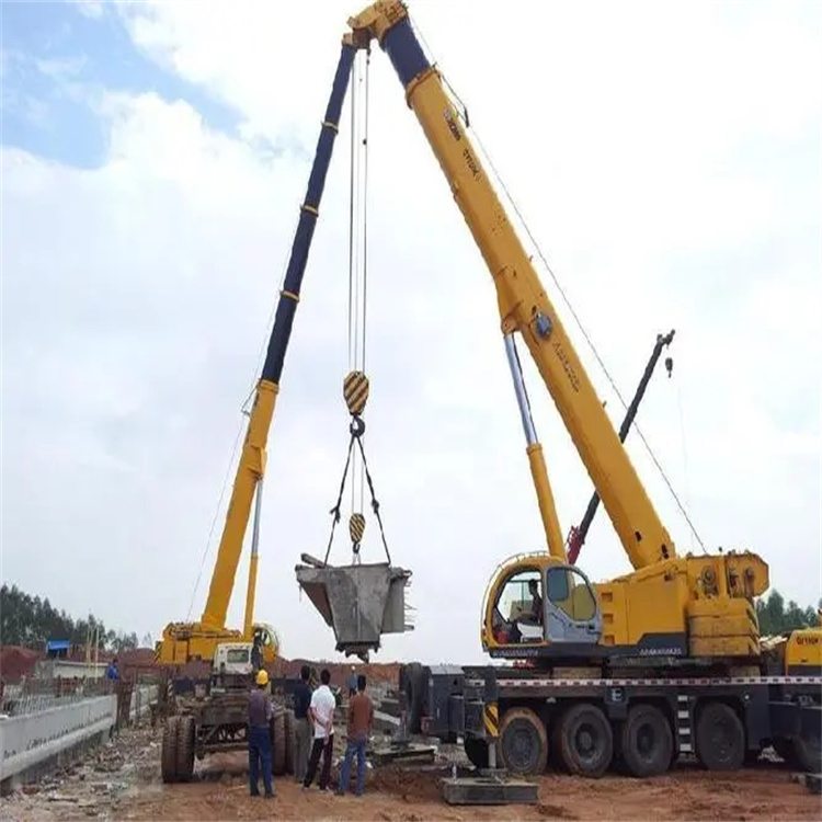 温州小型吊机出租电话|厂房设备吊装方案|24小时服务覆盖